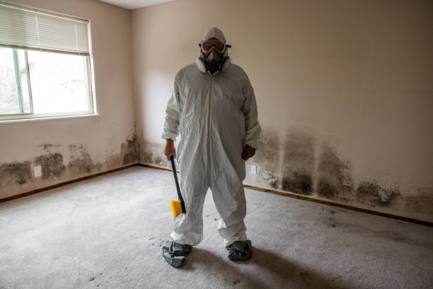 Best Mold Remediation for Specific Building Types in USA